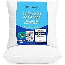 Oreiller Canapé Antiallergique - Confort et Élégance