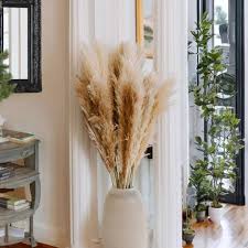 Pampas XXL Séchées 100cm - Élégance Naturelle pour un Deco Salon Cocooning