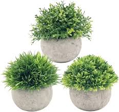 Plantes Artificielles pour une Décoration Élégante