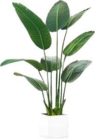 Kunstpflanzen: Une touche de nature dans votre intérieur