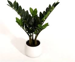 Plante Artificielle Réaliste pour une Décoration Élégante