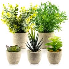 TRNZ Lot de Plantes Artificielles Décoratives – Élégance Naturelle pour Votre Intérieur