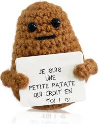 Zynxel Insolite Humoristiques Motivants pour Adolescent - Un Cadeau Utile et Inspirant