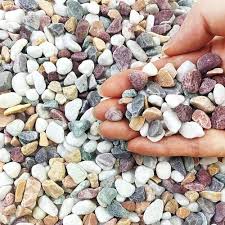 Cailloux Décoratifs Colorés - Remplissage Idéal pour Votre Décoration