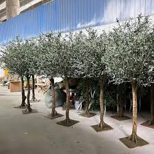 Branches de faux Olivier : Élégance et Nature à Domicile