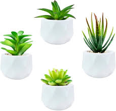 Mini Plante Artificielle MukMlon pour Décoration Intérieure