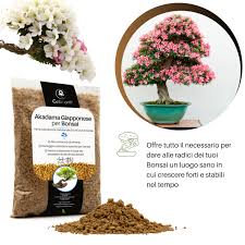 Granulométrie Japonais équilibre Nutriments pour vos plantes