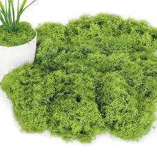 Mousse Decorative ZYEKIU pour un Décor Éblouissant