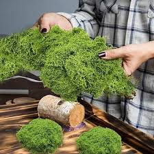 Mousse Décorative Stabilisée GIDWRIY - Élégance Naturelle pour Votre Intérieur