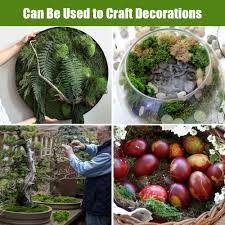 Mousse Décorative Bieiyhe - Élégance et Nature