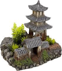 Plantes Asiatique pour une Décoration Japonaise d'Aquarium