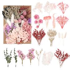 Fleurs Séchées Naturelles Pétales Séchés - Élégance Naturelle